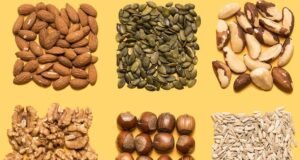 FAO Launches Historic “From Seeds to Foods” Exhibition in Rome, Marking 80 Years of Global Action Against Hunger Seeds to Foods