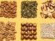FAO Launches Historic “From Seeds to Foods” Exhibition in Rome, Marking 80 Years of Global Action Against Hunger Seeds to Foods
